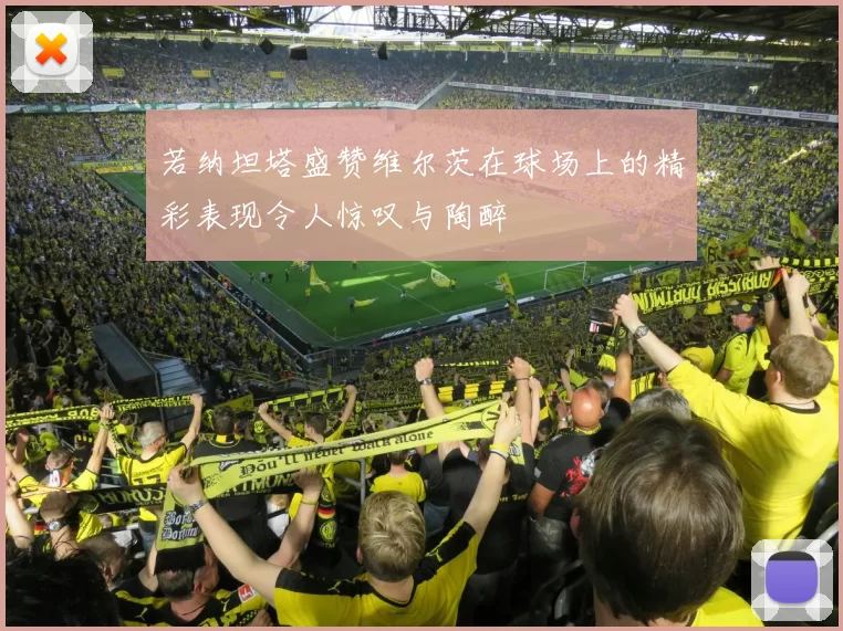 若纳坦塔盛赞维尔茨在球场上的精彩表现令人惊叹与陶醉